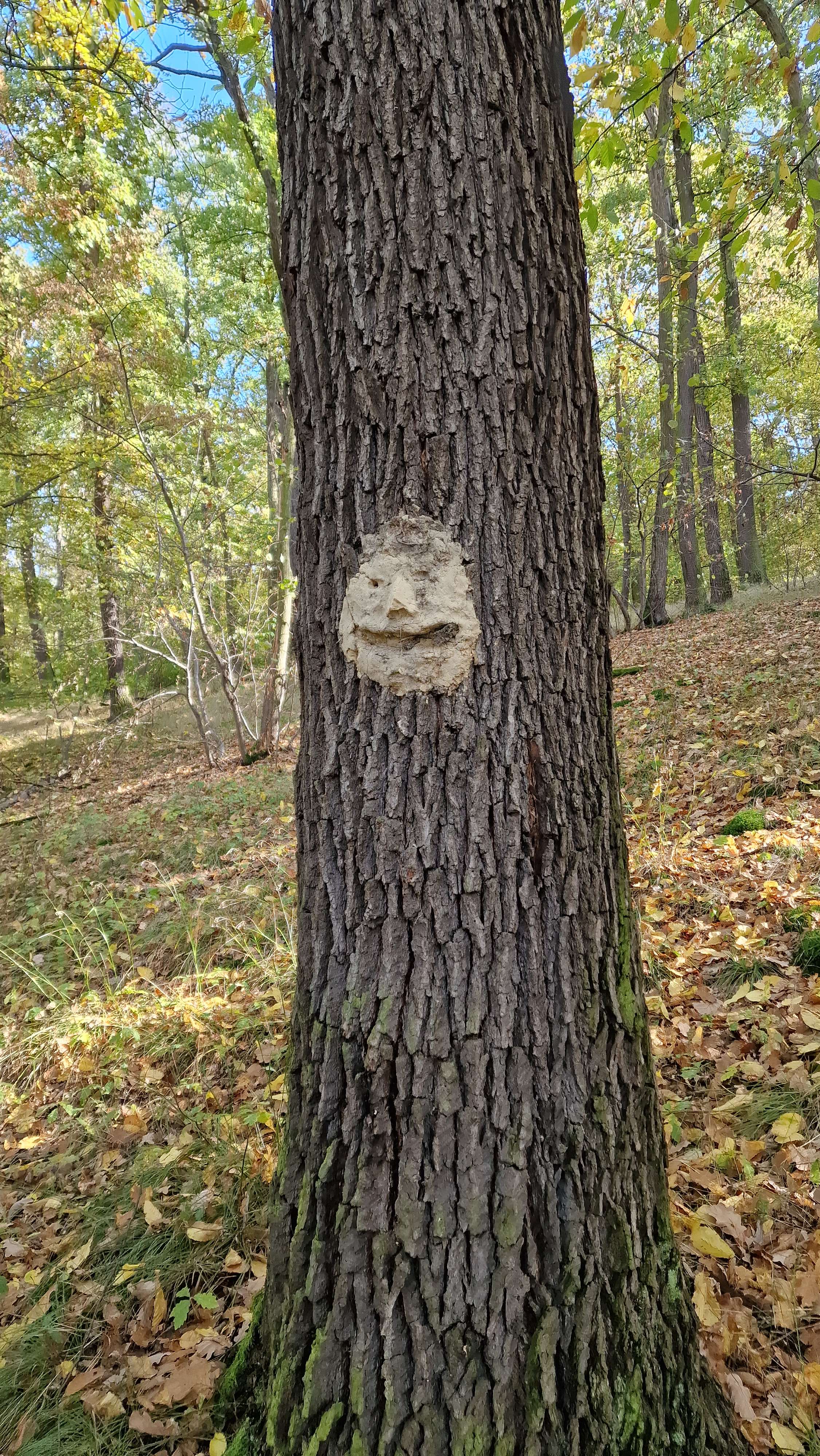 face01